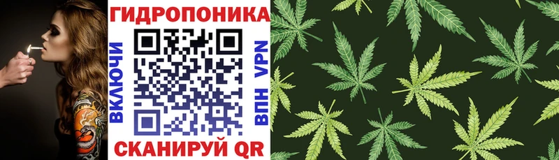 Хочу наркоту Елизово КОКАИН Марихуана OMG как зайти АМФЕТАМИН Меф ГАШ Alpha PVP МЕТАМФЕТАМИН
