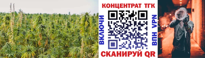 ТГК вейп  площадка состав  Елизово 