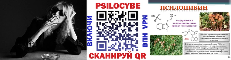Псилоцибиновые грибы MAGIC MUSHROOMS  где продают   Елизово 